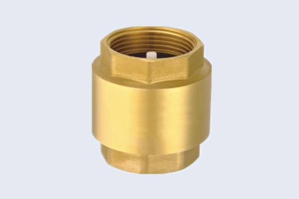Brass Spring Check Valve with Plastic Disc N10131001
