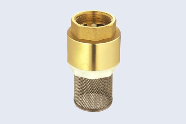 Brass Spring Check Valve with Filter N10131004