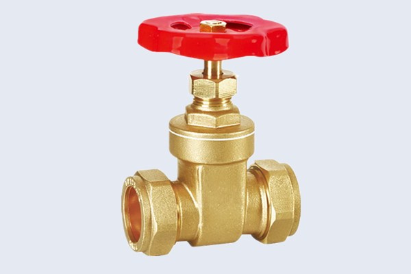 Compression Brass Gate Valve N10121006