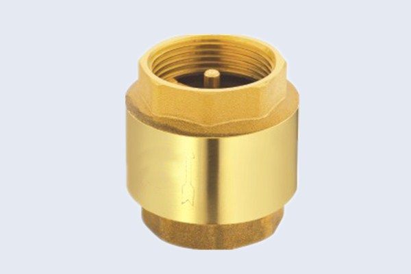 Brass Spring Check Valve