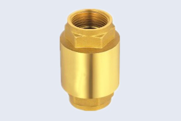 Euro Heavy Brass Spring Check Valve N10131003