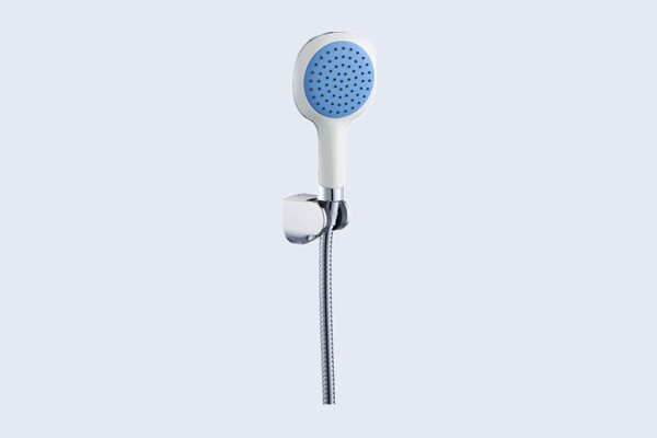 Economical Shower Head with Hose N20421009