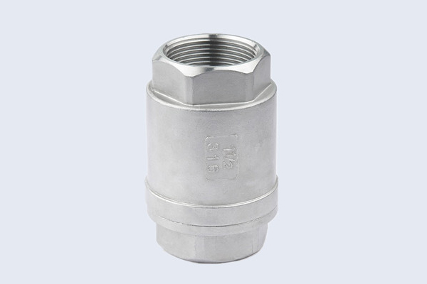 Stainless Steel Spring Check Valve N10212003