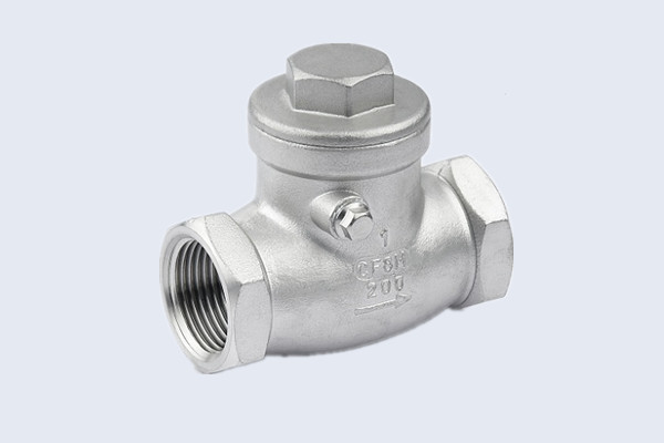 Stainless Steel Swing Check Valve N10212005