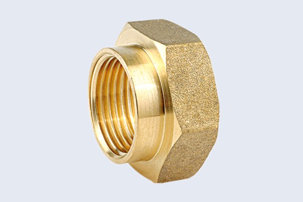 Hexagonal Female Brass Nut Fittings N30111016X