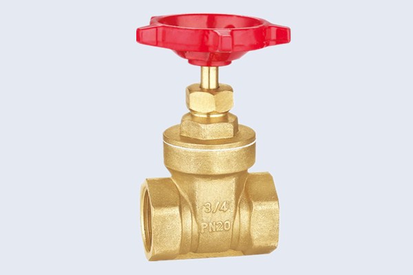 PN20 Brass Gate Valve N10121011