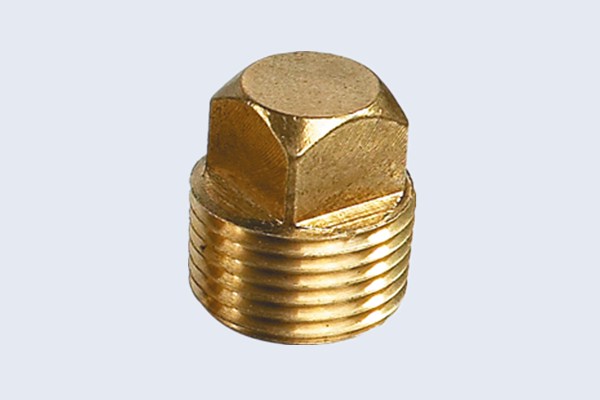 Square Brass Plug Fittings N30111029