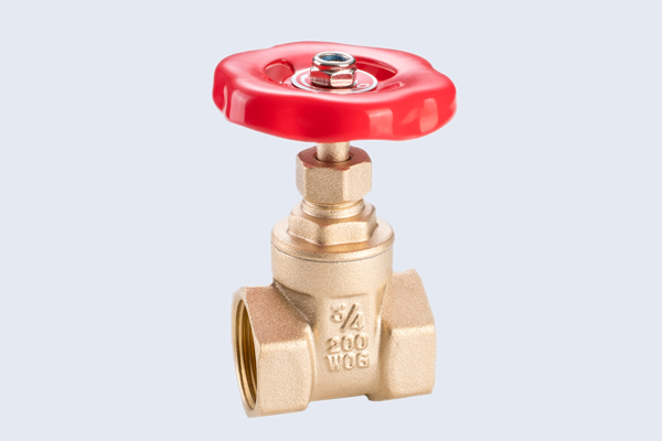 EN Brass Gate Valve with Iron Handwheel N10122010