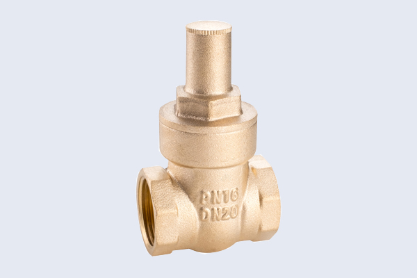 Consealed Lock Brass Gate Valve N10122020